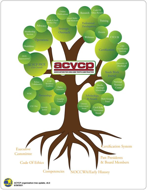 ACYCP Organizational Tree
